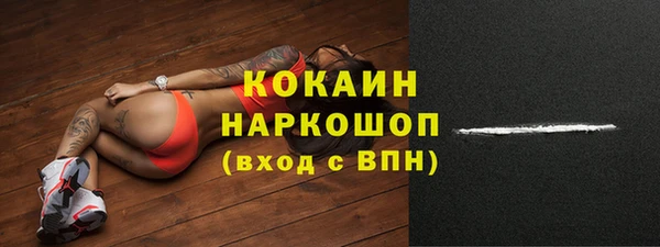 индика Арсеньев