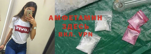 индика Арсеньев