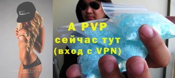 индика Арсеньев
