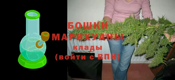 индика Арсеньев