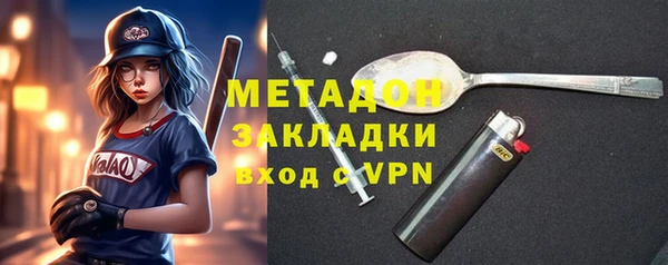 индика Арсеньев
