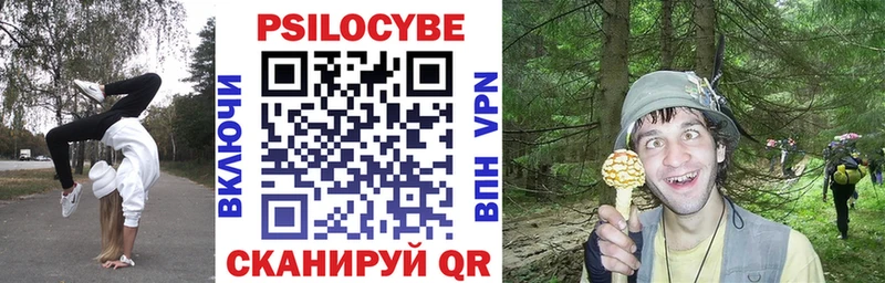 hydra как войти  Суворов  Псилоцибиновые грибы MAGIC MUSHROOMS 